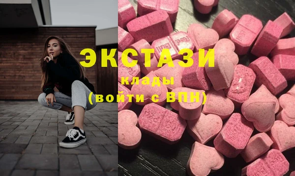 гидра Краснослободск
