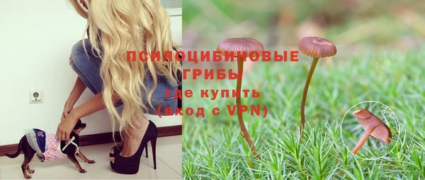 гидра Краснослободск